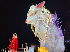 -淄博花灯齐彩城