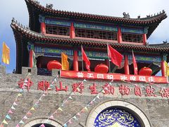 -西霞口神雕山野生动物世界