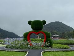 -广州市石门国家森林公园
