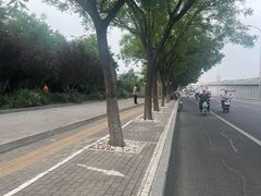 -绿堤公园
