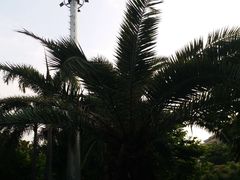 -同德公园