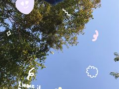 -大塘金香草谷