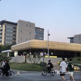 我的城市美食清单 | 阿那亚的餐饮推荐