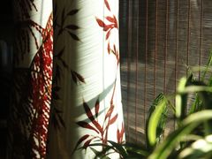 成品-瓷语堂(上海五维空间创意园店)