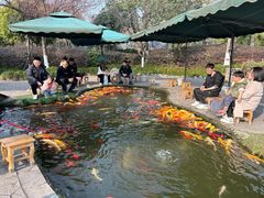 -成飞公园