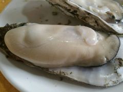 -蚝专家(北滘店)