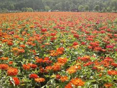 2013-09-06-528-百里山水画廊乌龙峡谷