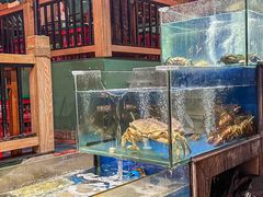 -海煮叹鲜·粥底火锅·港式海鲜打边炉(赛银国际广场店)