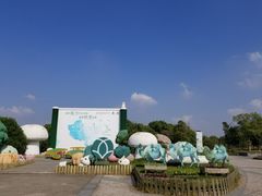 -上海都市菜园