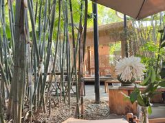 -扫雪煮茶(西村店)