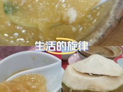-大中鱼翅 Taitong Shark Fin