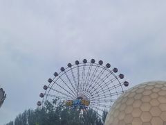 -皇家海洋乐园