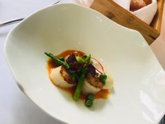 -蝶舍·MAISON PAPILLON