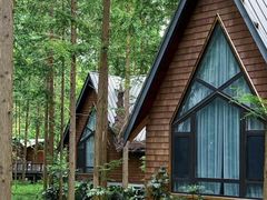 -黄海国家森林公园