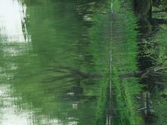 -尚贤河湿地