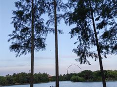 -上海野生动物园