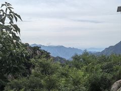 -大岭沟猕猴桃谷风景区