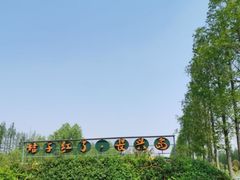 -前小桔亲子创意农场·草莓采摘·露营烧烤