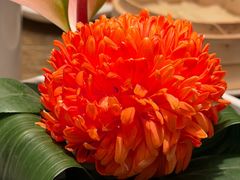 -上海总会SHANGHAICLUB(兴业太古汇店)