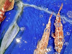 -三亚火车头万人海鲜广场