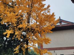 -浙江省博物馆(孤山馆区)