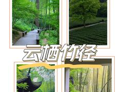 -云栖竹径