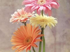 -金陵科技学院（幕府校区）食堂