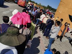 -金塔沙漠胡杨林景区