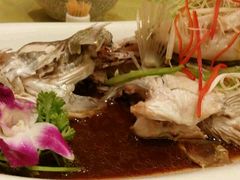 android_upload_pic-老长春肉馆(创业大街店)