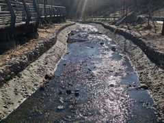-白水寺森林公园