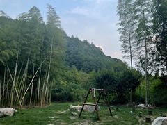 -北仑森林植物园