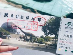 -陕西自然博物馆