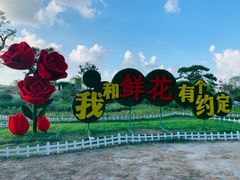 -南通鲜花小镇