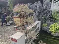 -惠州西湖丰渚园
