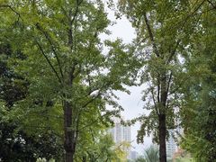 -苏州河梦清园环保主题公园