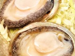 鲍鱼-金海阁海鲜火锅