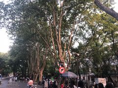-浙江大学(玉泉校区)
