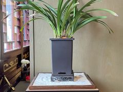 -南翔馒头店(豫园店)