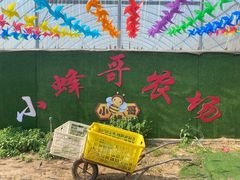 -庞各庄翠芳园西瓜蔬菜基地采摘园