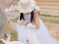 -灵玲国际马戏城