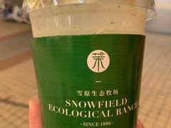 -茉酸奶(松江开元地中海店)