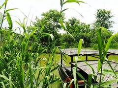 -梁鸿国家湿地公园