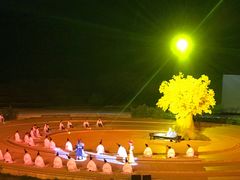 -鼎盛王朝康熙大典实景演出