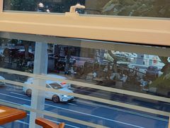 -三猫黑鱼花(南大店)
