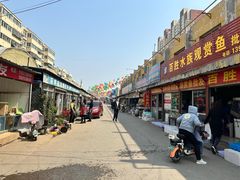 -白佛花鸟鱼虫批发市场小型宠物交易(东区)