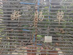 -广州神农草堂中医药博物馆