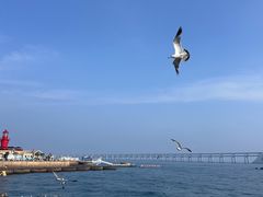 -星海广场