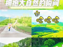 -百里天路