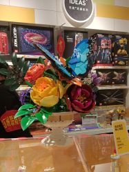 -乐高授权专卖店(中关村领展店)