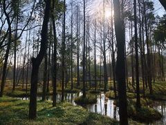 -杭州植物园